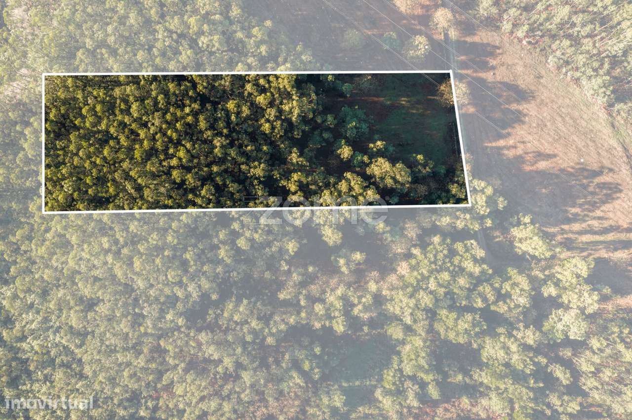 Terreno Rústico com 3.930 m2 na Carvalhosa, Paços de Ferreira - Grande imagem: 2/15