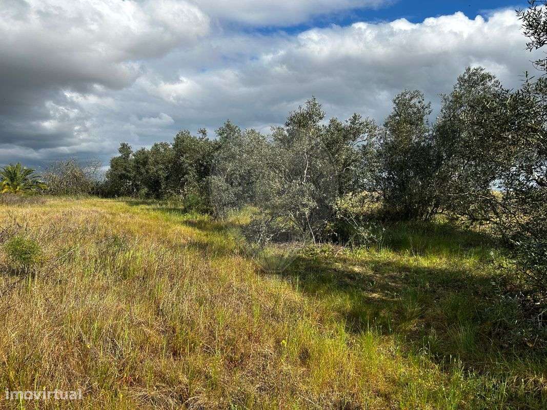 Terreno  para venda - Grande imagem: 4/7