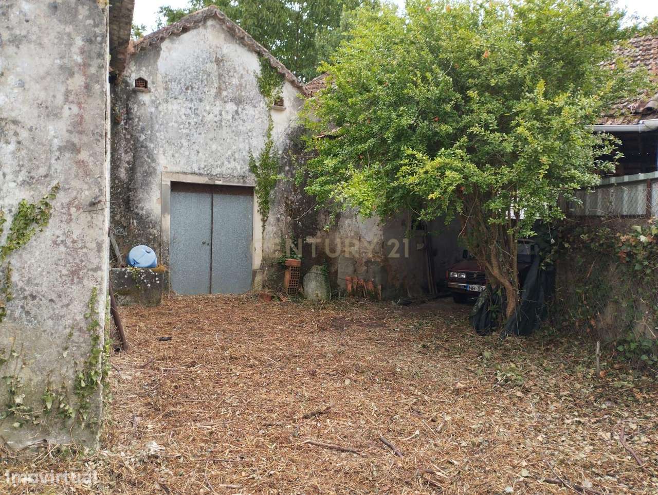 Prédio Misto com 1.834m² em Almoster – Com Adega, Terreno, Poço e Tanq - Grande imagem: 4/15