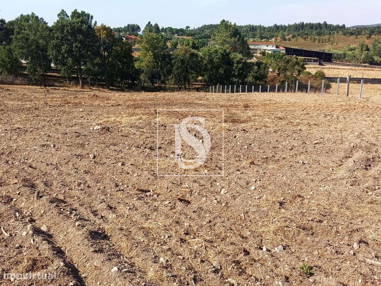 Terreno  Venda em São Pedro de Tomar,Tomar-5