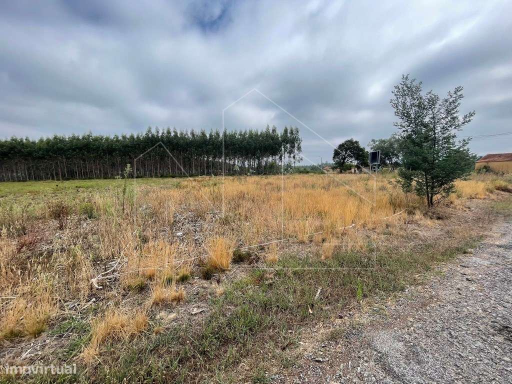 Terreno - Águeda - Grande imagem: 3/5