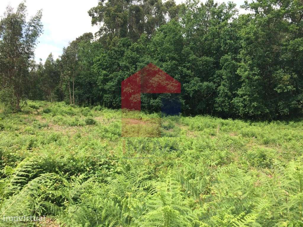 Vende-se Terreno, Vila Verde - Grande imagem: 4/10