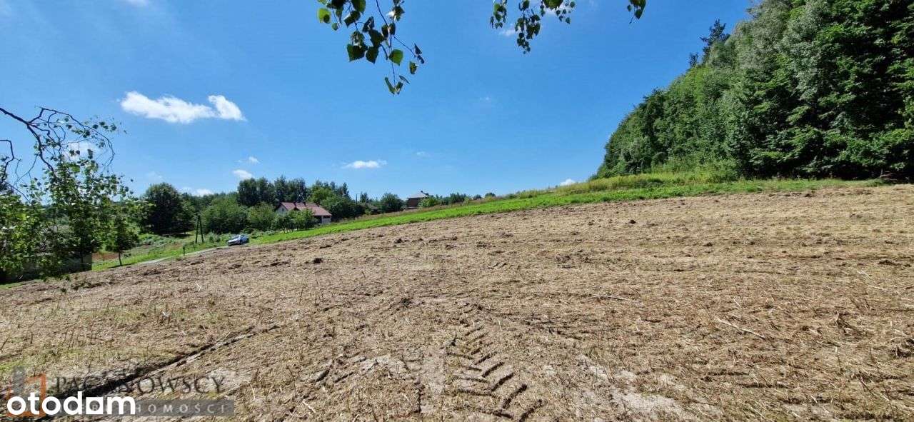 Działka, 2 100 m², Czajowice-6