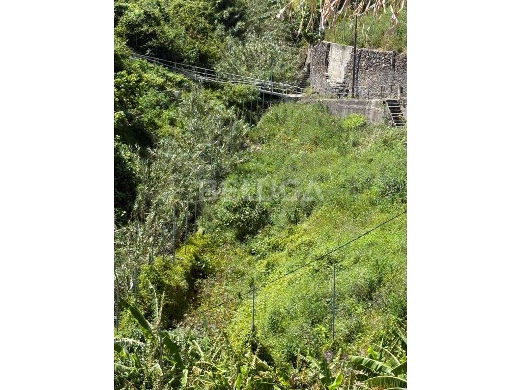 TERRENO COM 2110 m² | CAMINHO DO TERÇO (Cª LOBOS)-37