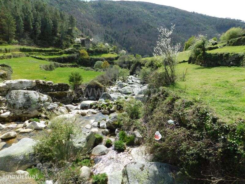 Quintinha / Seia, Loriga - Grande imagem: 2/13