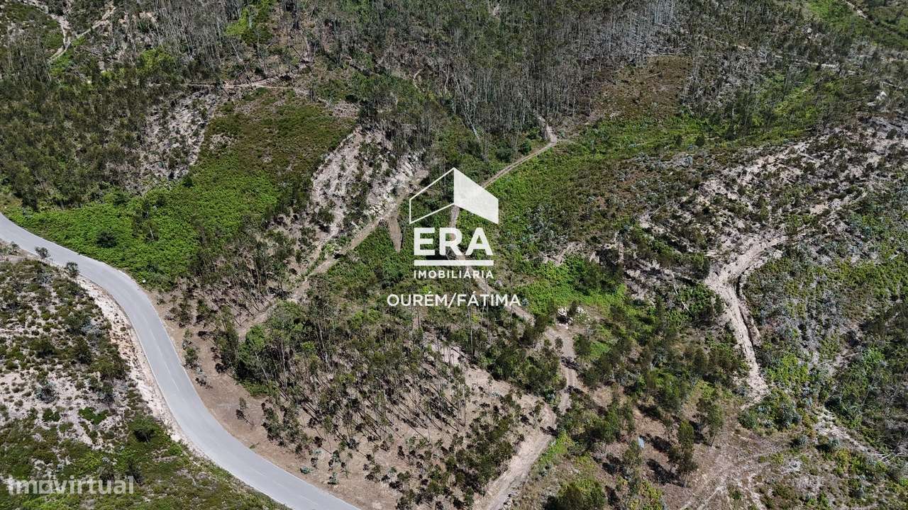 Terreno Florestal em Matas, Ourém-13