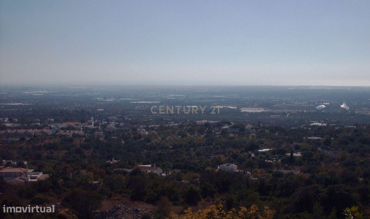 Terreno vista mar - Grande imagem: 2/9