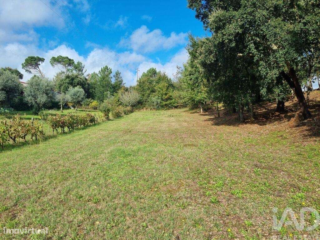 Terreno para construção em Poiares - Grande imagem: 5/34