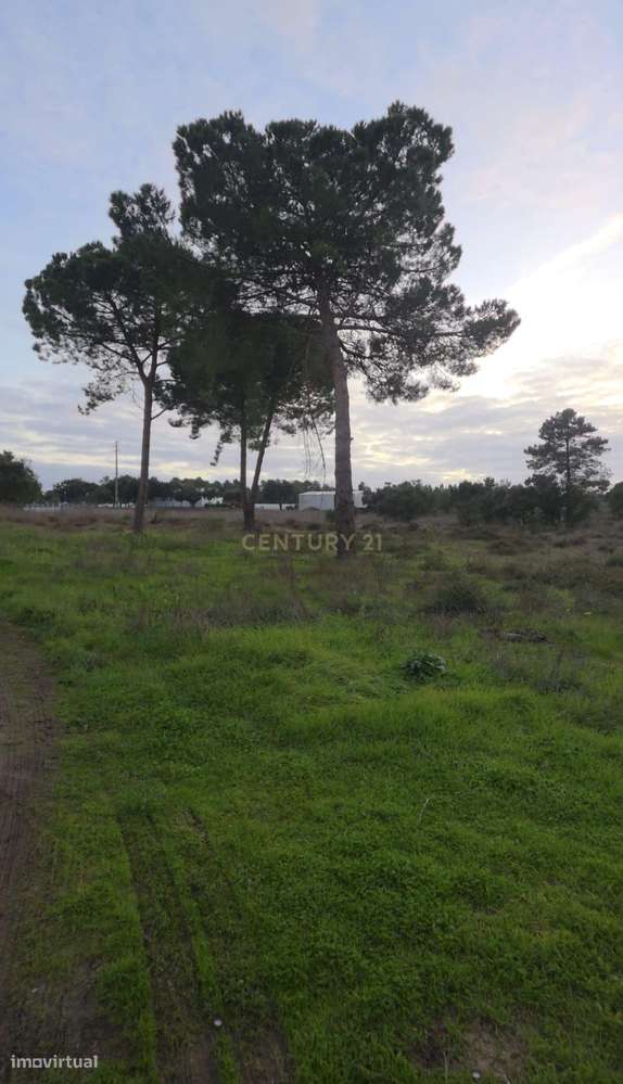 Terreno rústico com elevado potencial construtivo – Casal de Bolinhos, - Grande imagem: 5/6
