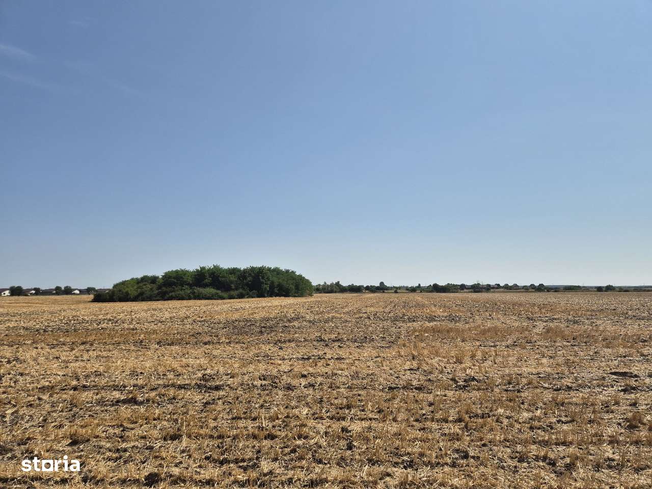 Teren intravilan 4428 mp - Balotesti - Imagine principală: 1/5