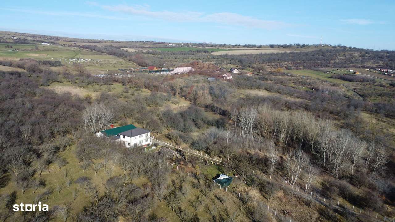 Teren 20.146 mp Dâmbu Rotund (Lomb).Extravilan.Potențial rezidențial-11