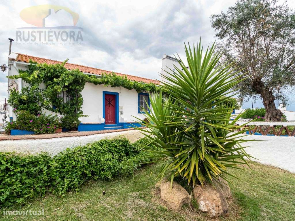 Quinta com 16 ha, com 4 Moradias Unifamiliares, piscina e várias ár...-50