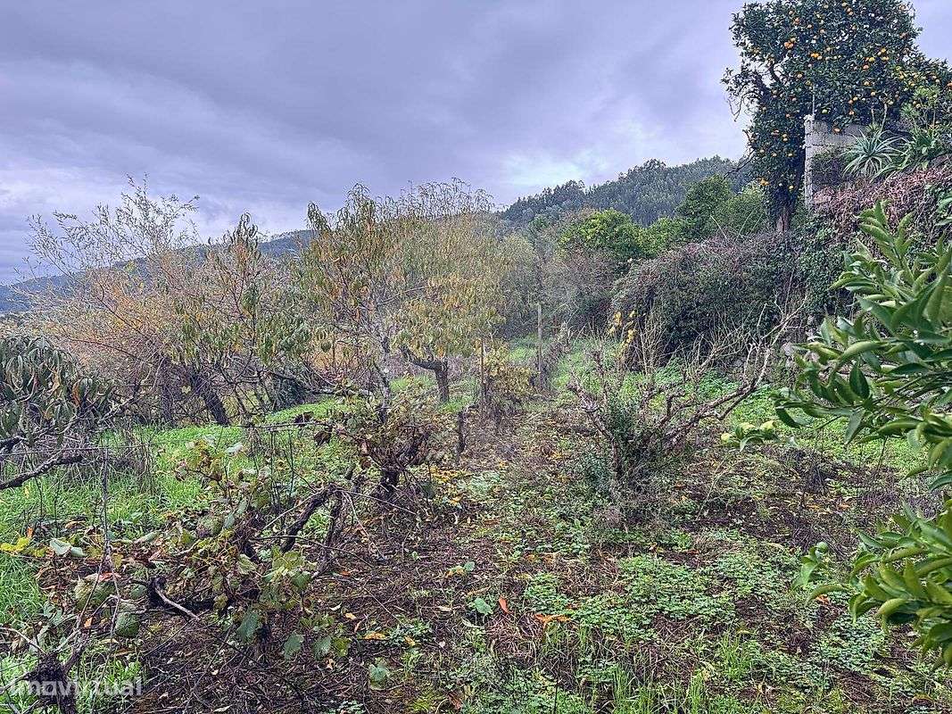 Terreno  para venda - Grande imagem: 5/9