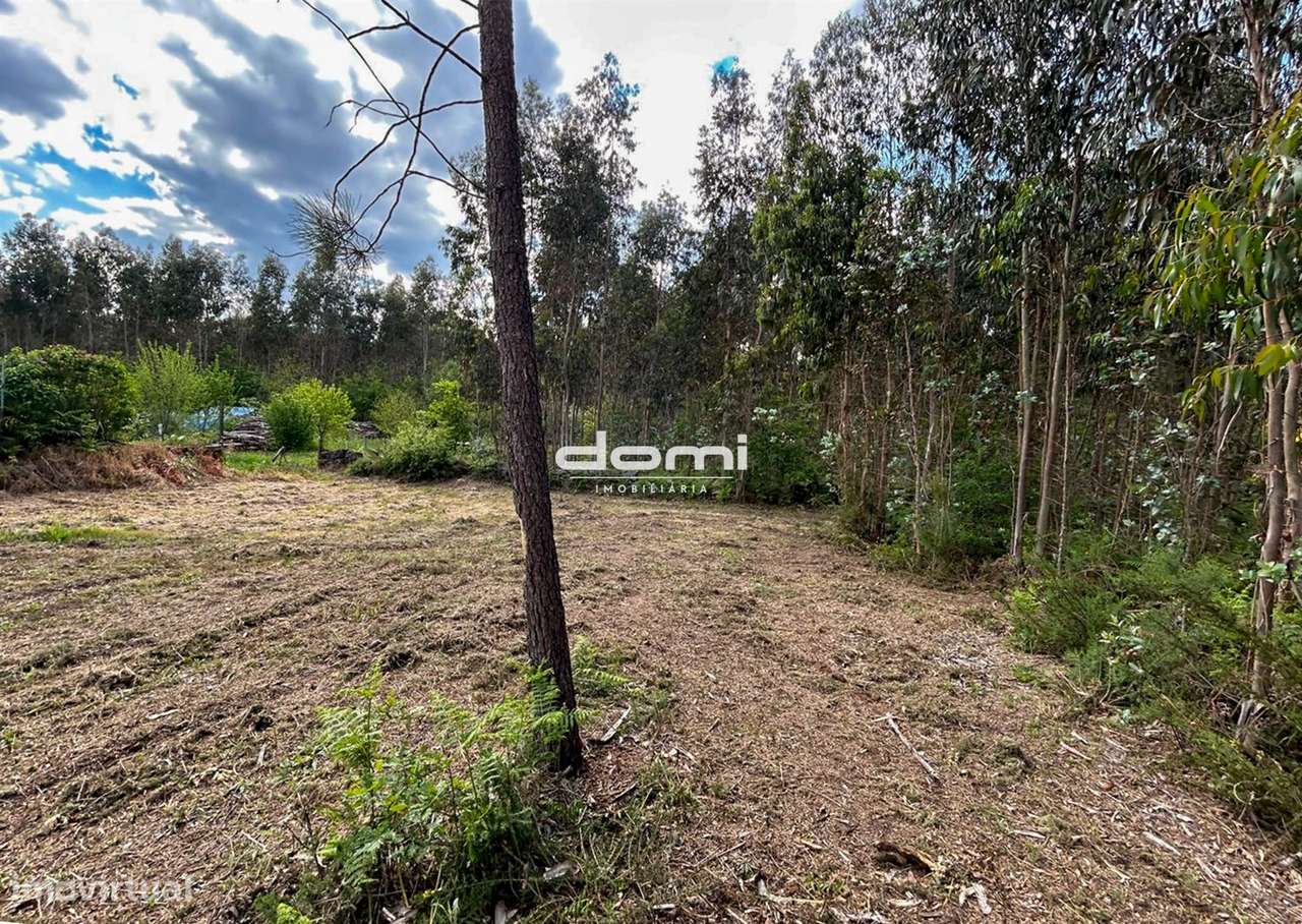 Terreno construtivo em Lourosa - Santa Cruz da Trapa. - Grande imagem: 4/14