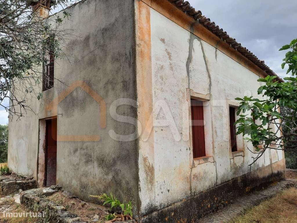 Quinta - Portalegre - Grande imagem: 3/26