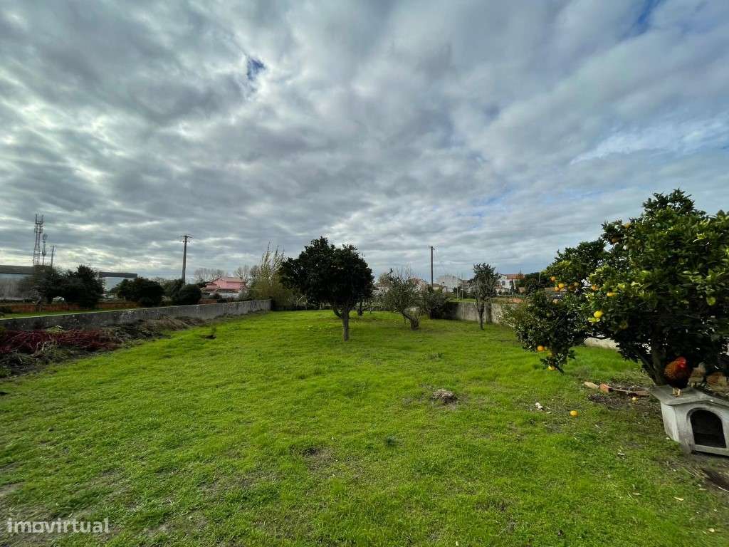 MORADIA T4 - MONTE (MURTOSA)-32