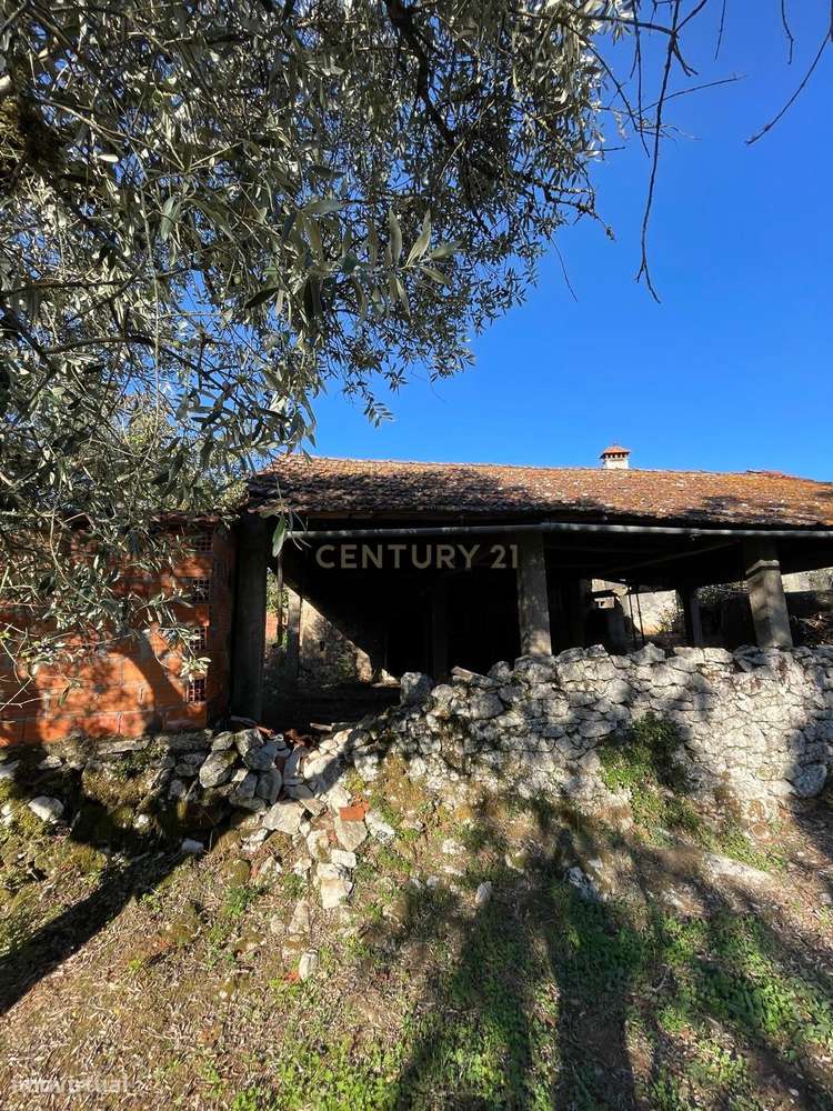 Ruina com Projeto para Reconstrução – Venda do Brasil, Ansião - Grande imagem: 4/8