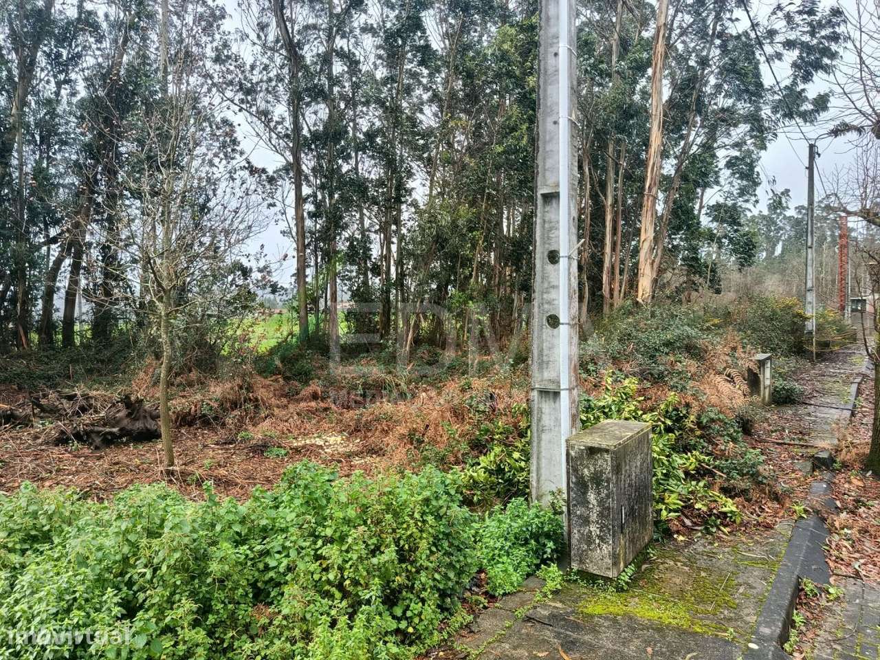 Terreno - Grande imagem: 5/8