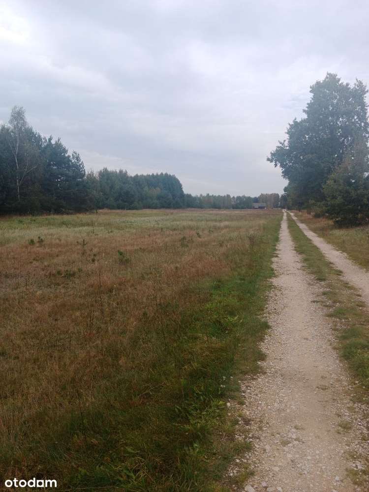 Sprzedam działkę budowlaną przy Lesie - Pełny obrazek: 2/7