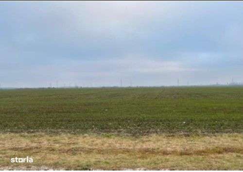 Teren Extravilan Cerna, cota parte 1/5 ID: R2581973 - Imagine principală: 1/7