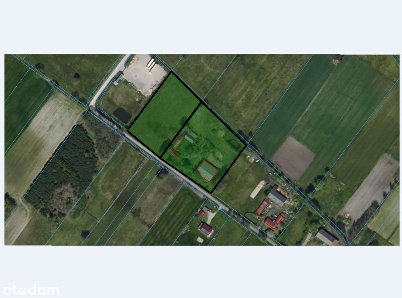 Działki 14 000 mkw, 3 km od miejscowości Ujazd. Stasiolas - Pełny obrazek: 5/5