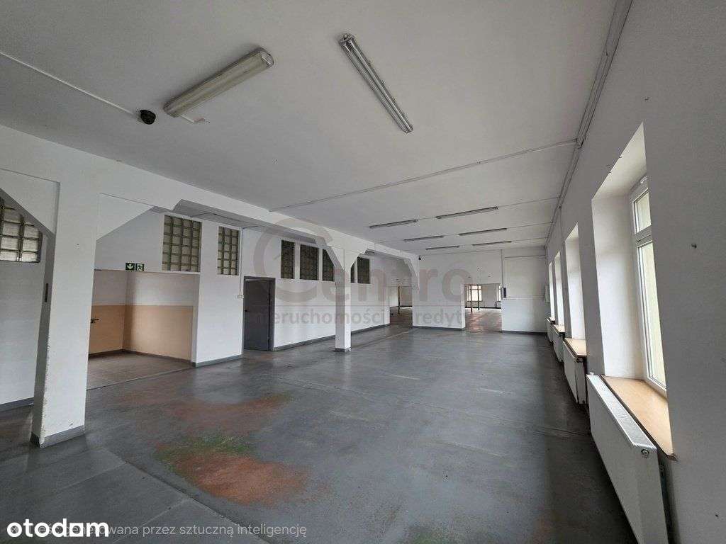 Do wynajęcia lokale o powierzchni od 56 - 425m2-4