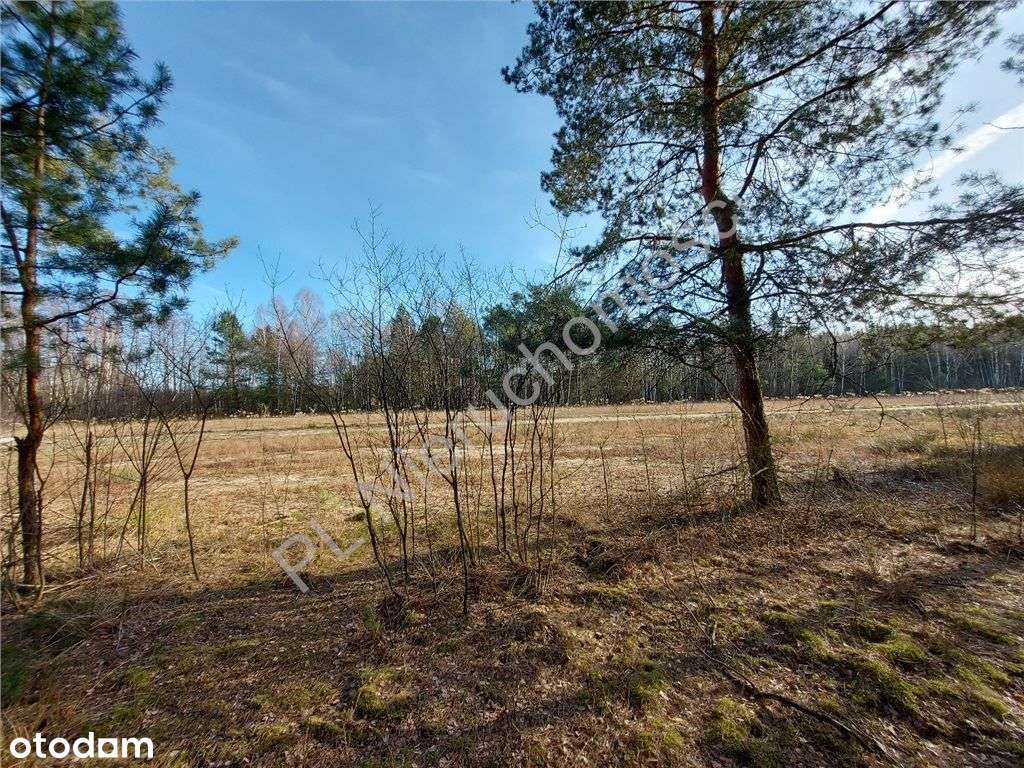 Ostatnia - Piękna Działka W Dobrej Cenie-14