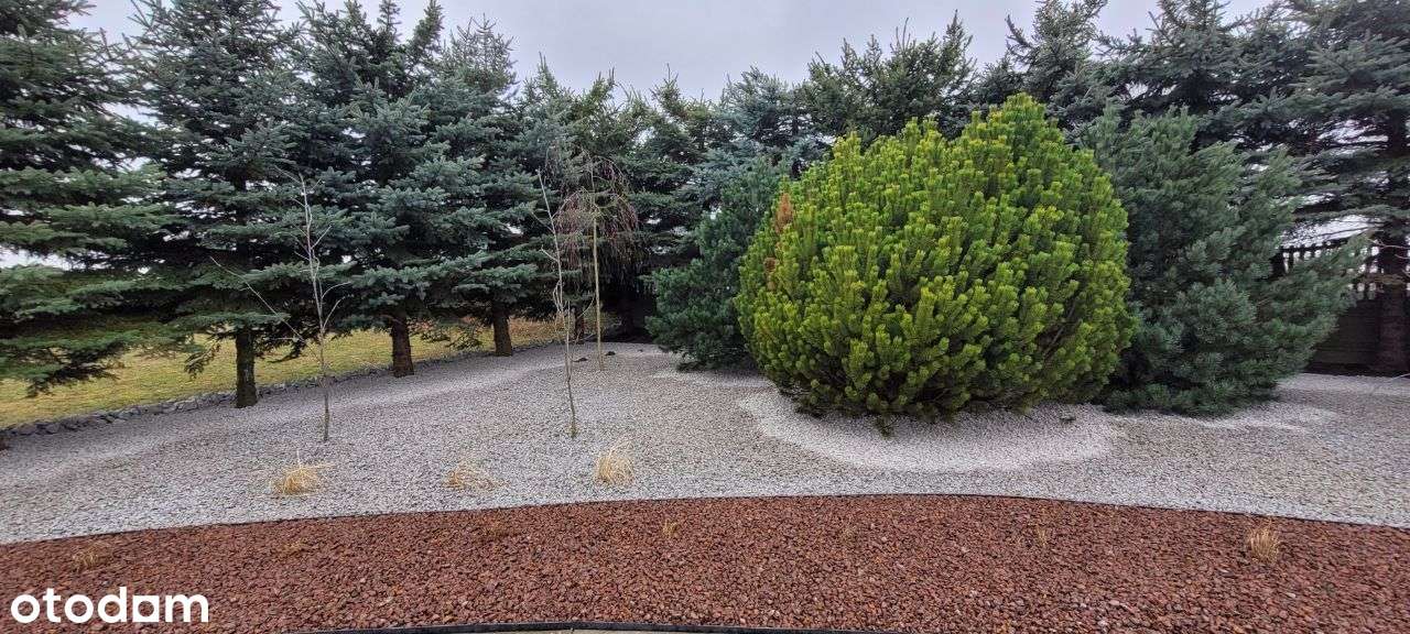 Budynek magazynowo- handl. obok s17 na działce 1ha - Pełny obrazek: 5/15