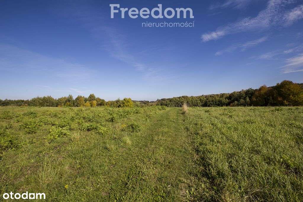 Działka 44 ary przy lesie w Grabówce - Pełny obrazek: 5/15