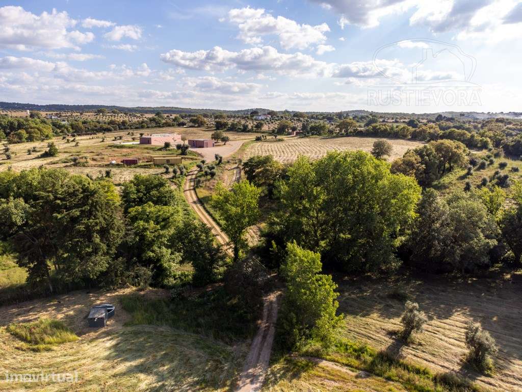 Um Refúgio Exclusivo no coração do Alentejo | Montemor-o-Novo | Por...-54