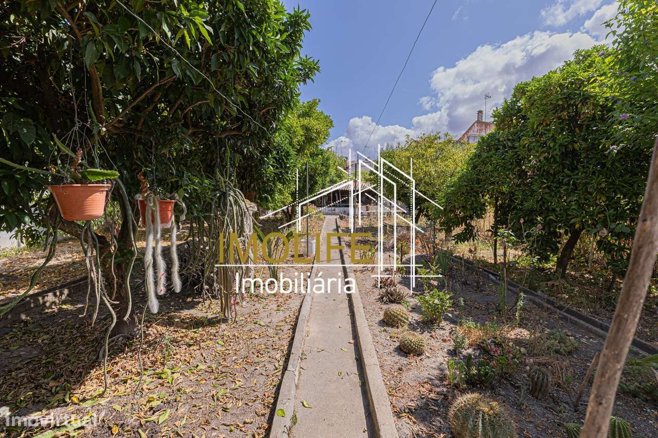 Moradia T3 com quintal em Cabeção - Grande imagem: 4/60