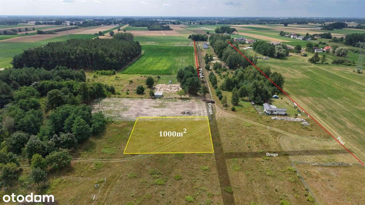 Piękna działka blisko Parku Kampinoskiego - Pełny obrazek: 5/13