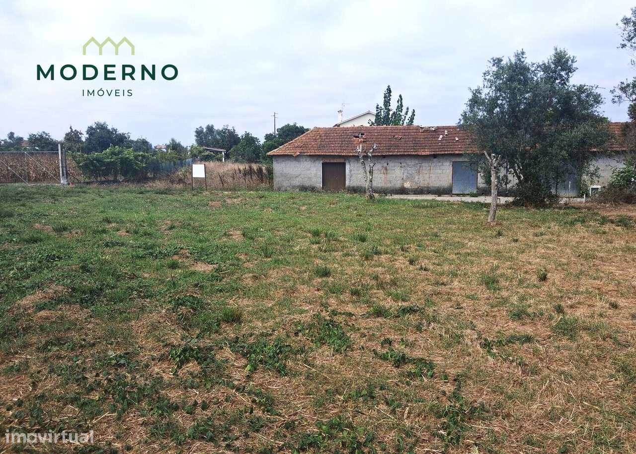 Terreno Construção - Ilha, Pombal-6
