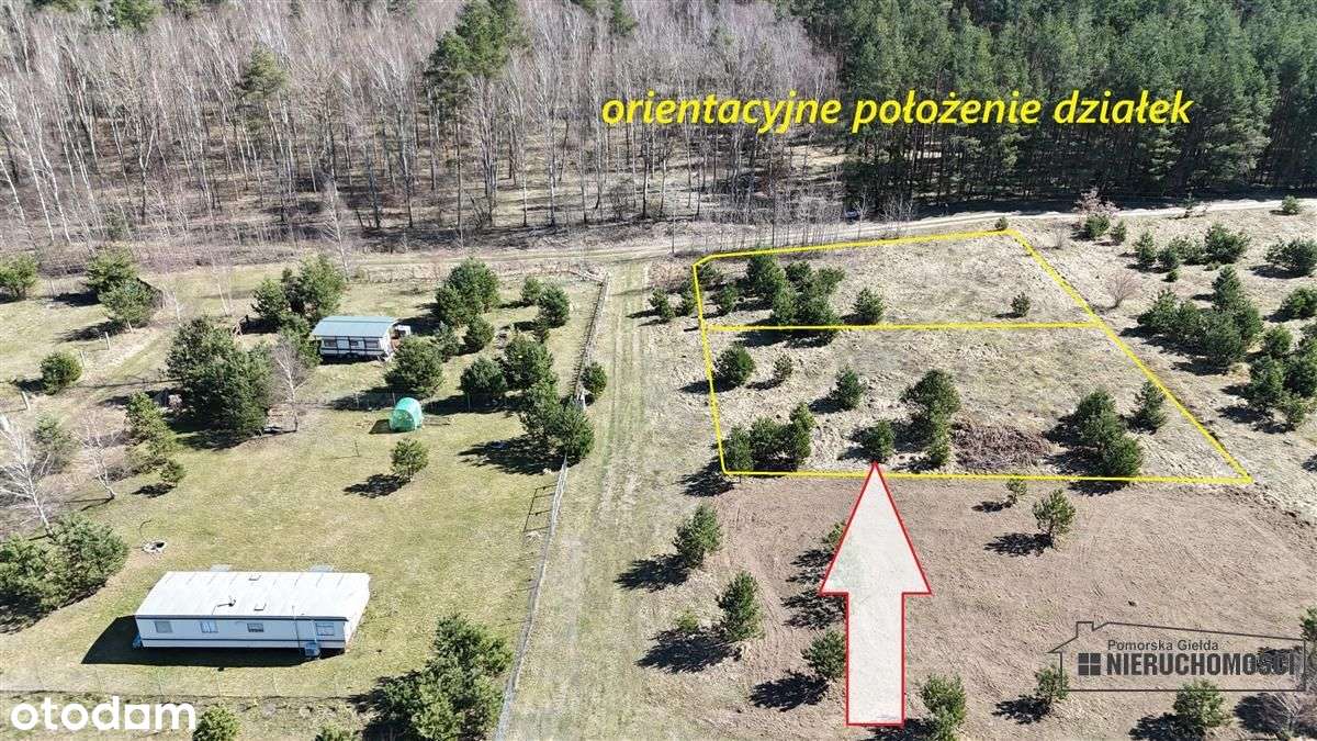 Działka pod lasem w pobliżu jeziora - Pełny obrazek: 2/20