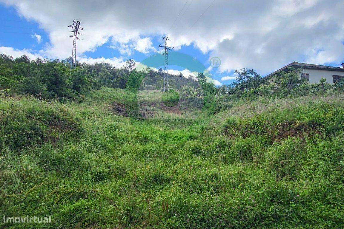 Terreno para Construção de Moradia Isolada em Vinhais - Grande imagem: 3/11