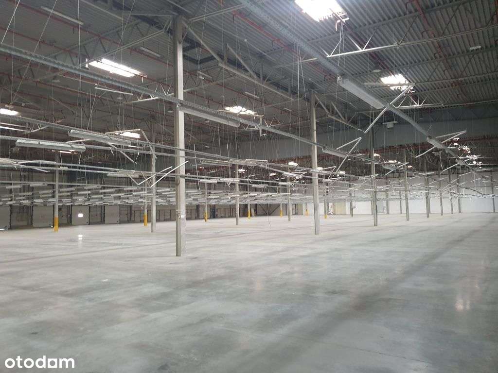 Magazyn Janki Super Cena - Pełny obrazek: 5/20