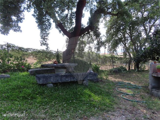 Quinta  para venda-6