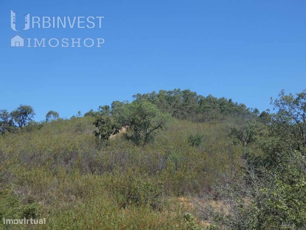 Terreno rústico, perto do Autódromo Internacional do Algarve. - Grande imagem: 4/8