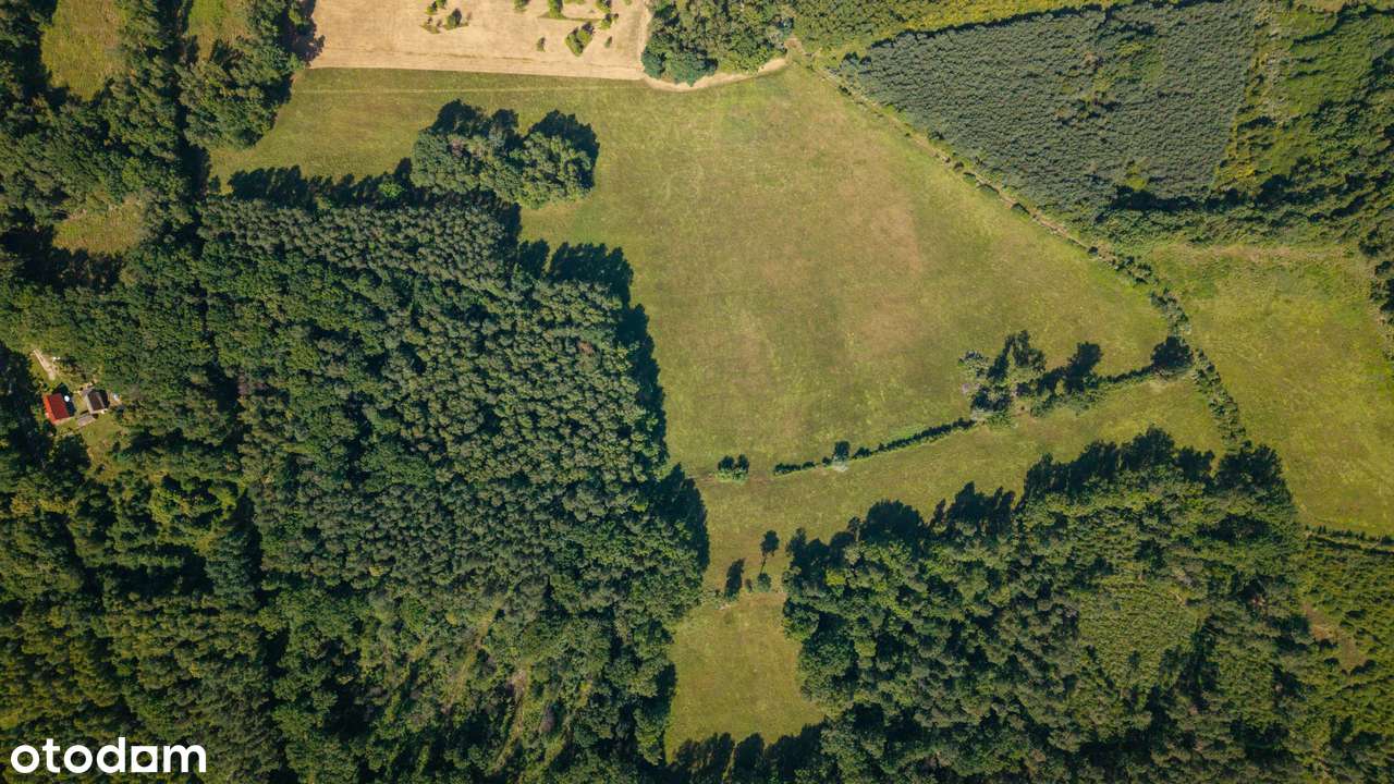 Malownicza Działka rolna 8,68 ha - Dobrochów, Powiat Żary - Pełny obrazek: 4/11