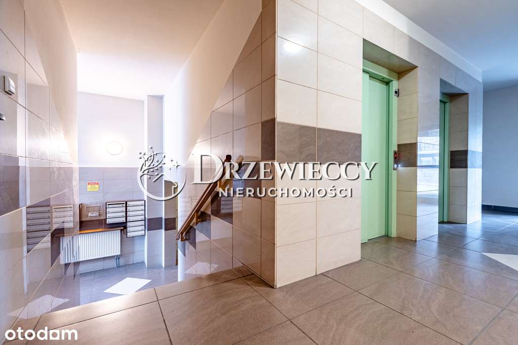 Studio niesamowity widok las – obok parku-14