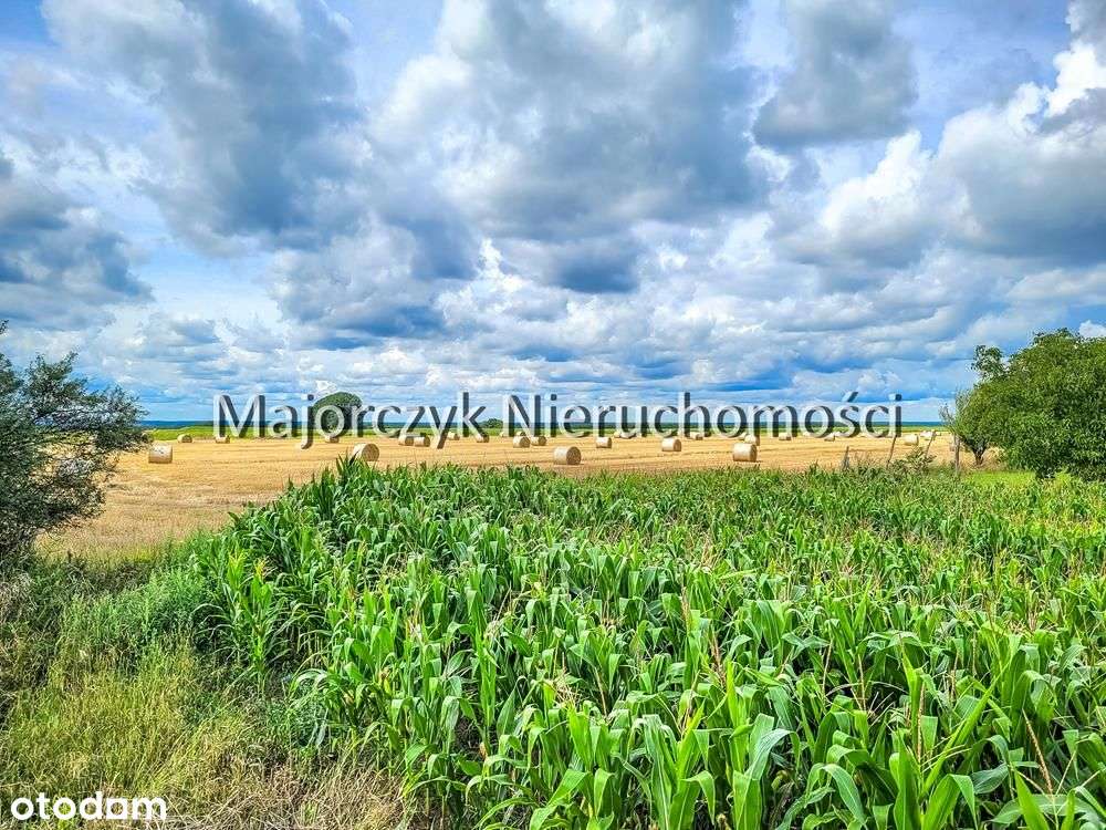 Działki budowlane - Dłużyna, gm. Włoszakowice - Pełny obrazek: 5/20