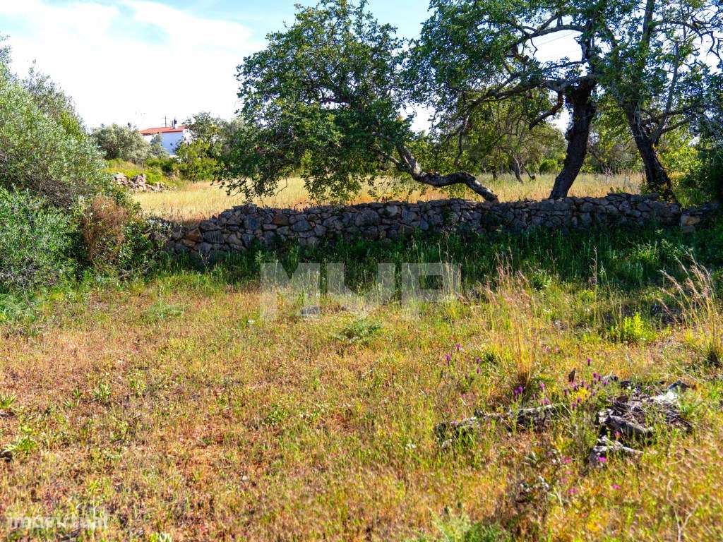 Terreno misto com ruina em São Brás de Alportel-10