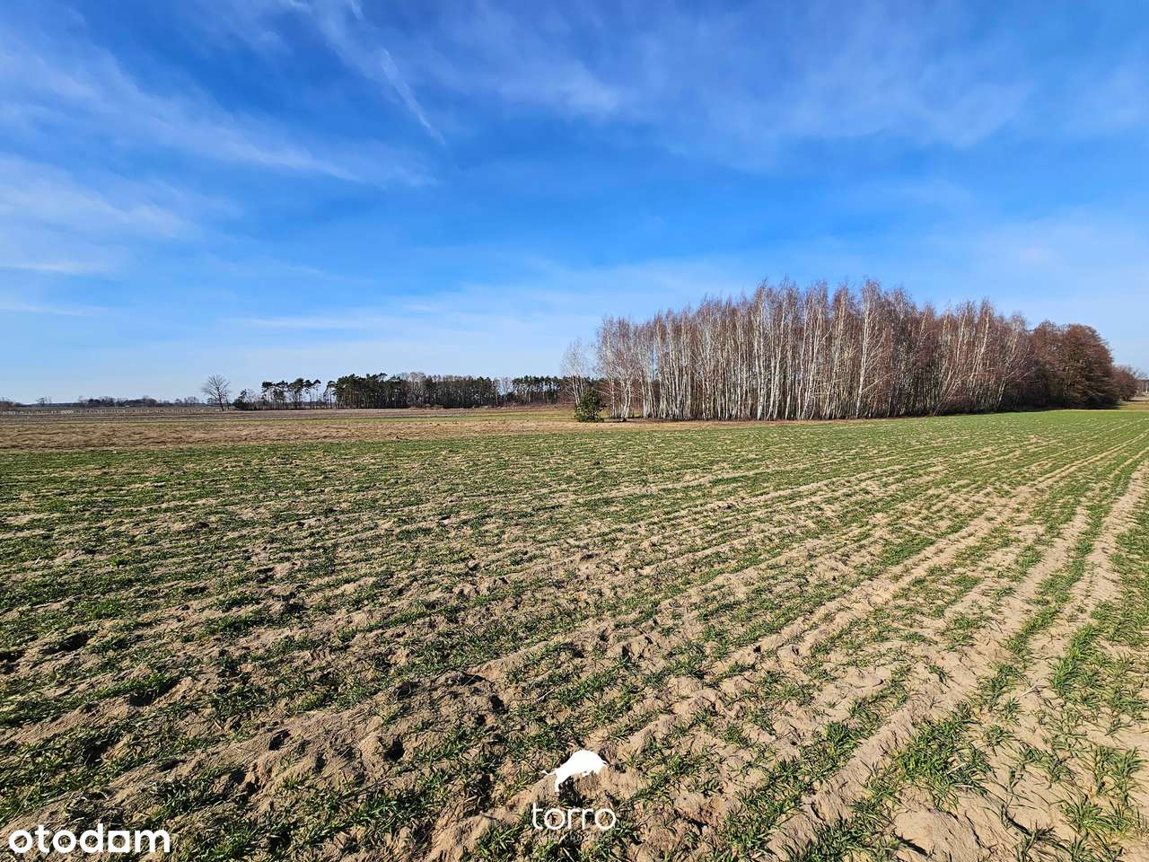 Dwie Działki 3000m² w Kęblinach z WZ - 30min od Centrum Łodzi-5