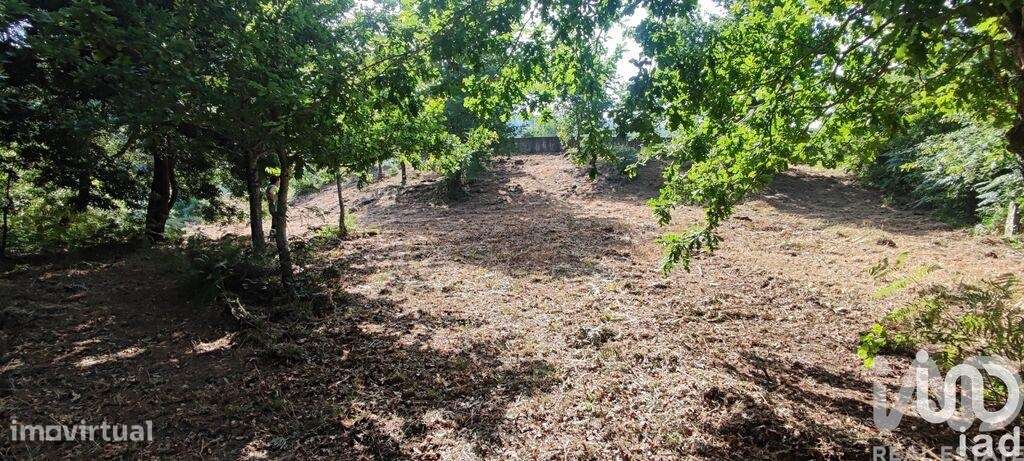Terreno em Romarigães - Grande imagem: 2/24
