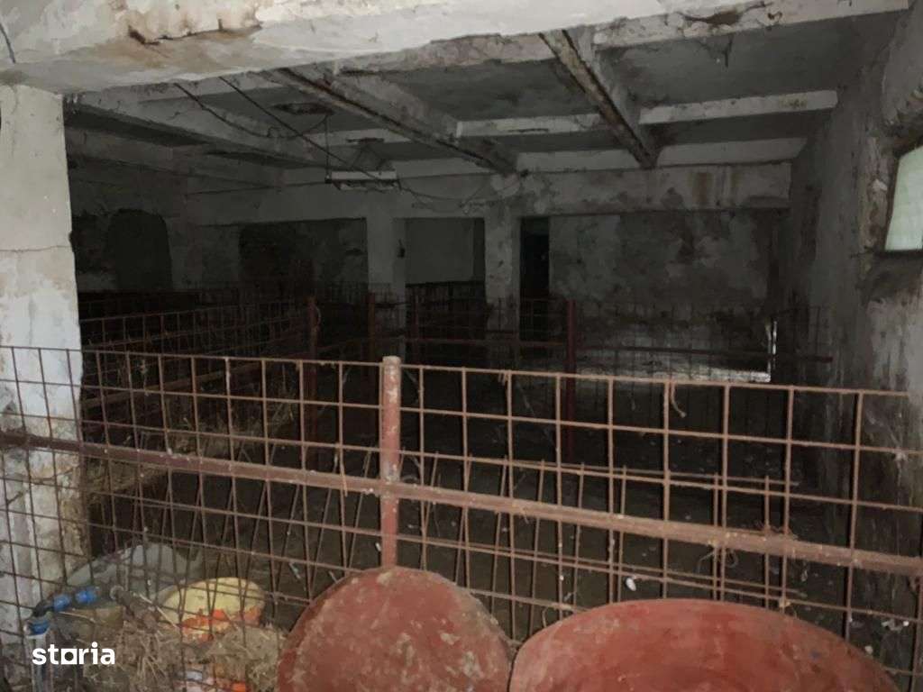 Casa cu teren 8300 mp-8