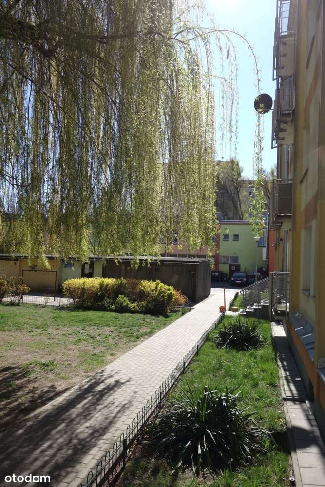 Trzy Pokoje w Niskim Bloku z Cegły-2