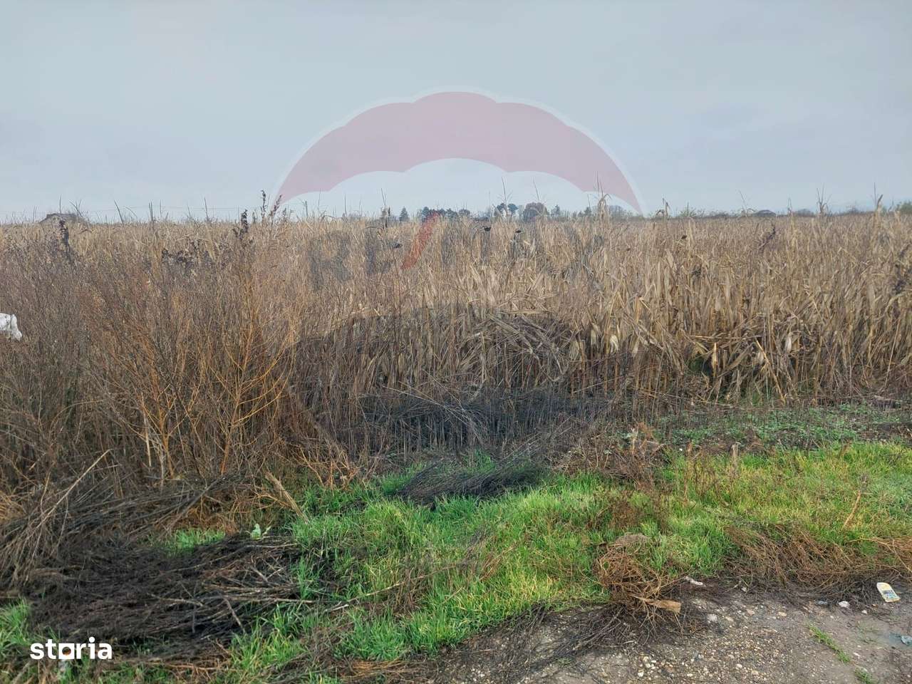 Teren intravilan de vanzare – Nicolae Balcescu, jud. Bacau - Imagine principală: 5/7