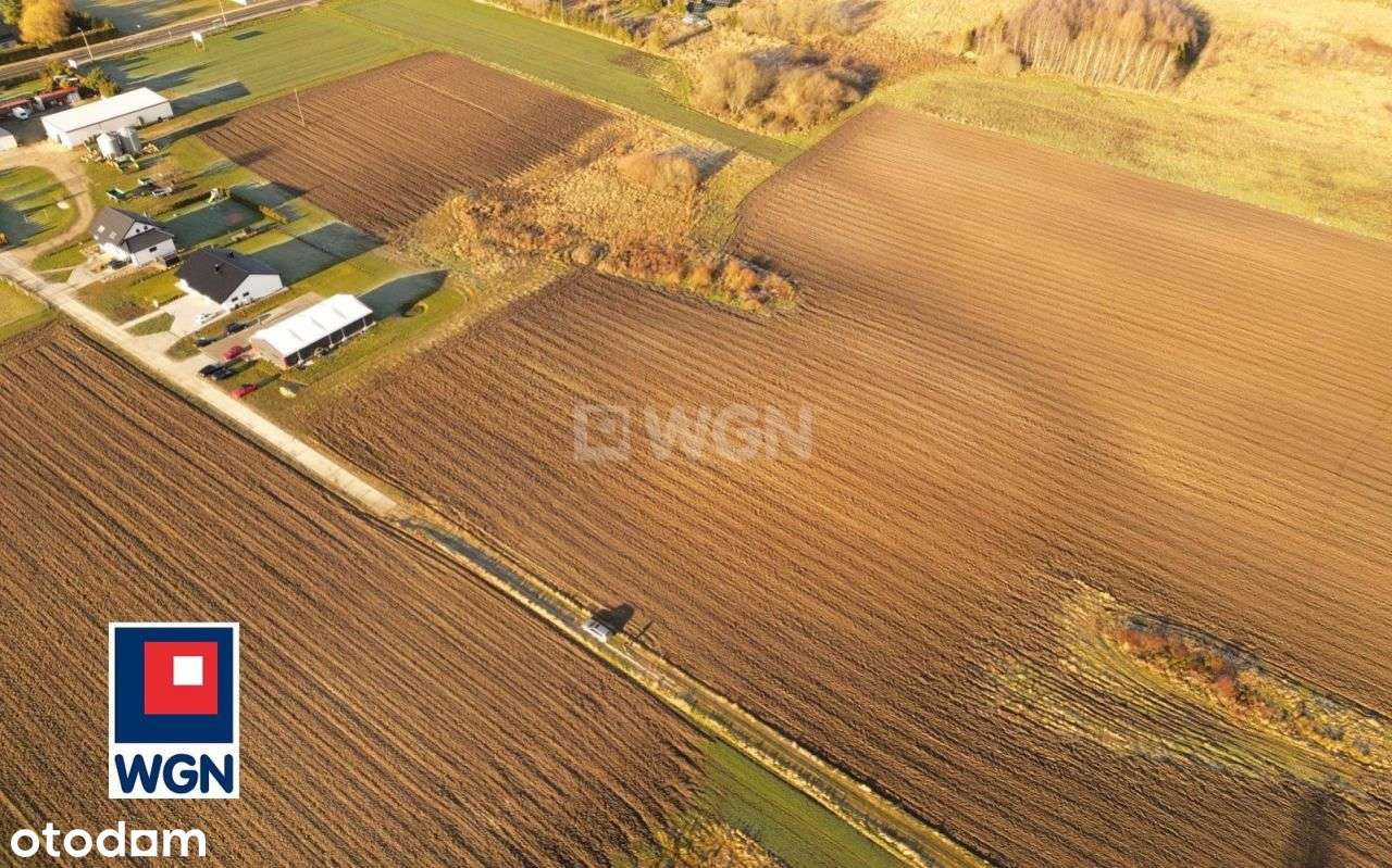 Działka budowlana, 5400m2, Łosino - Pełny obrazek: 4/17