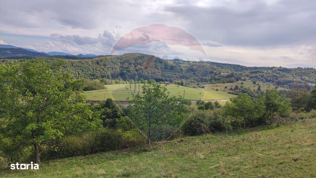 Teren constructii si faneata/livada 3082 mp Damis Bratca drum DJ 764D - Imagine principală: 3/20