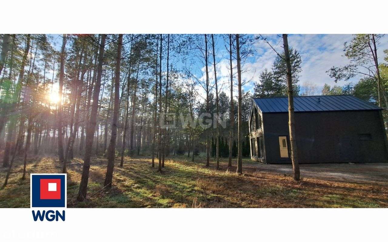 Dom | Las i jezioro | Owczegłowy, gm. Rogoźno-1